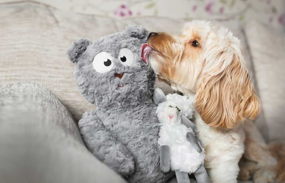 Dog Toys Cleaning
