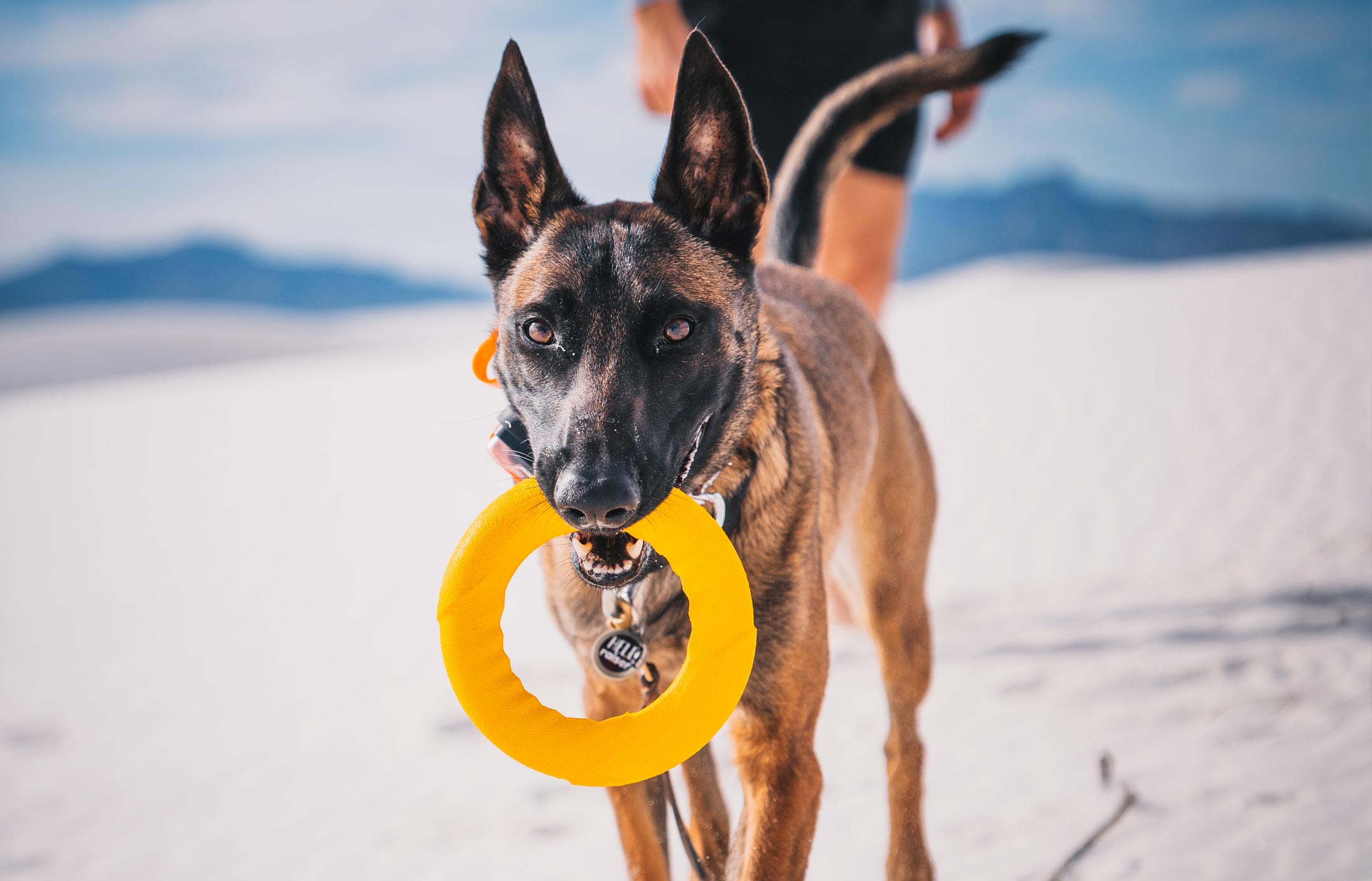 Dog Toys For Aggressive Power Chewers