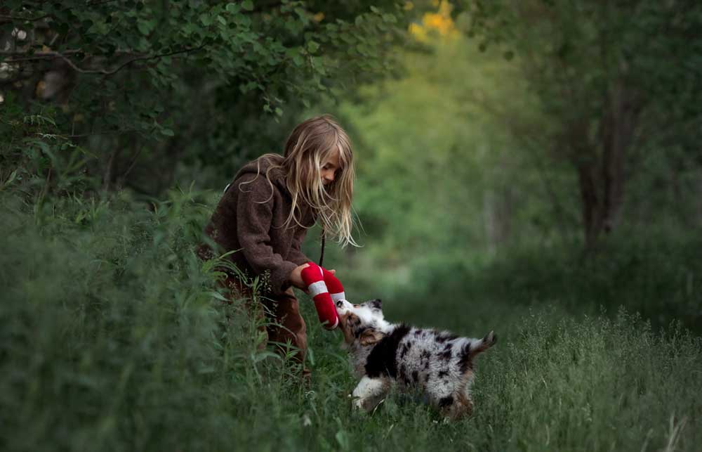 How can I help my teething puppy?