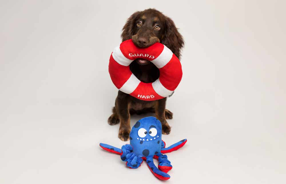 An Octopus Dog Toy That Will Save Your Pup from Boredom!