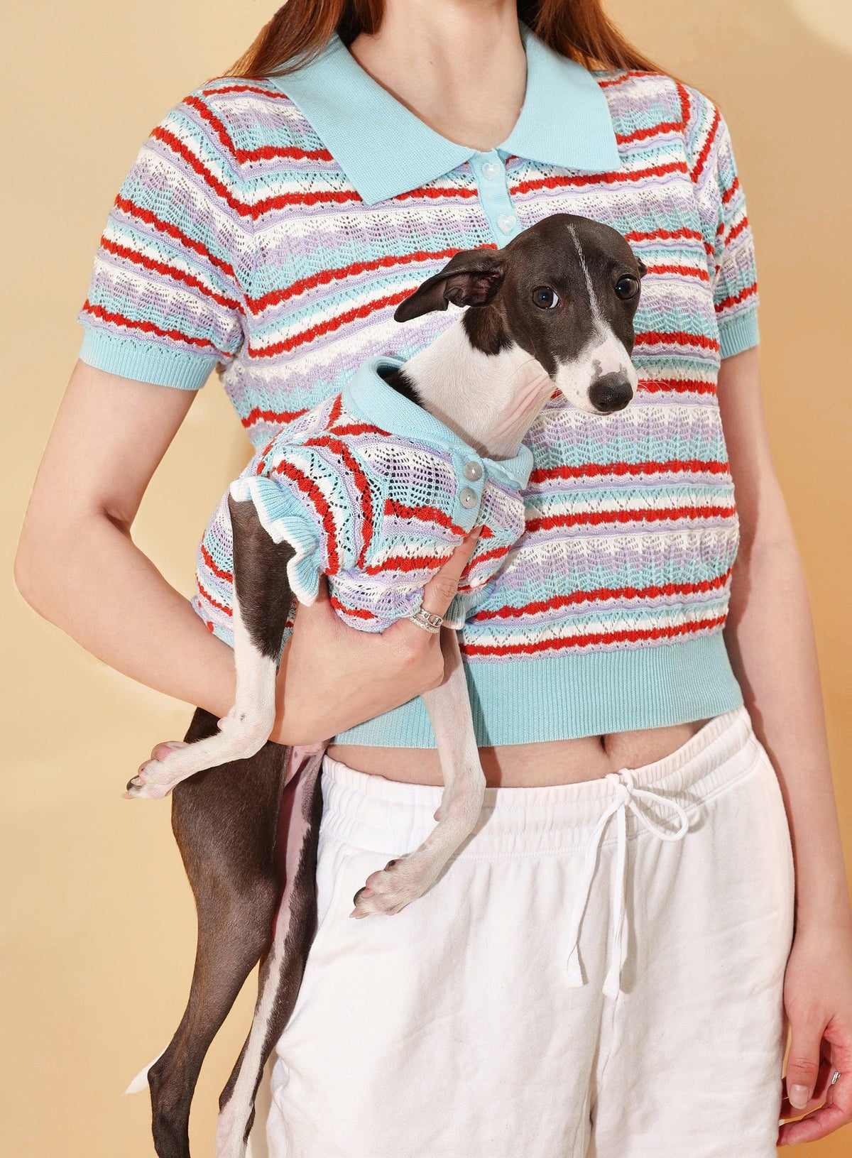 Pet & Me Spring Summer Ocean Blue Ruffle Crochet Short Sleeve Polo Shirt