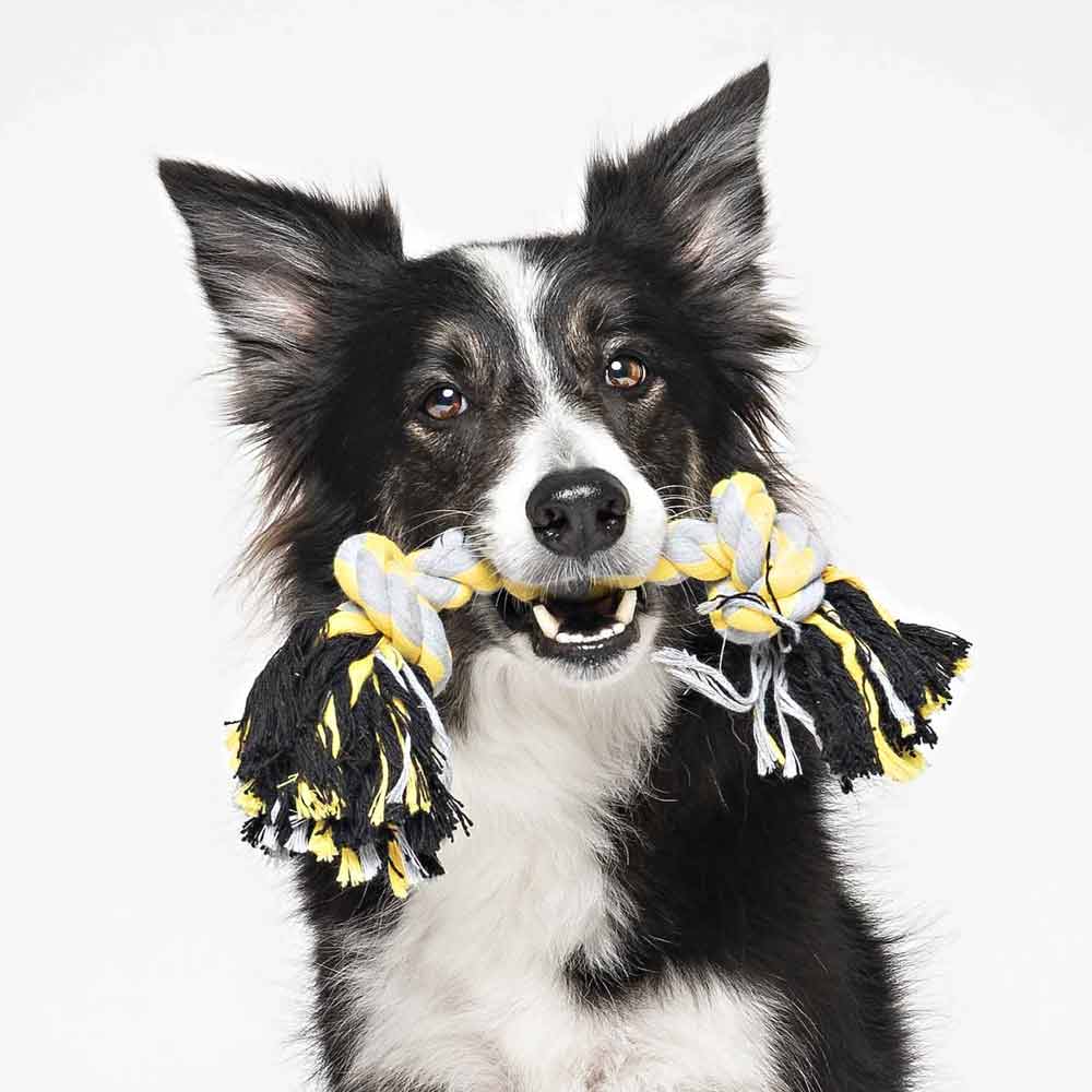 2 Knot | Dog Chew Rope