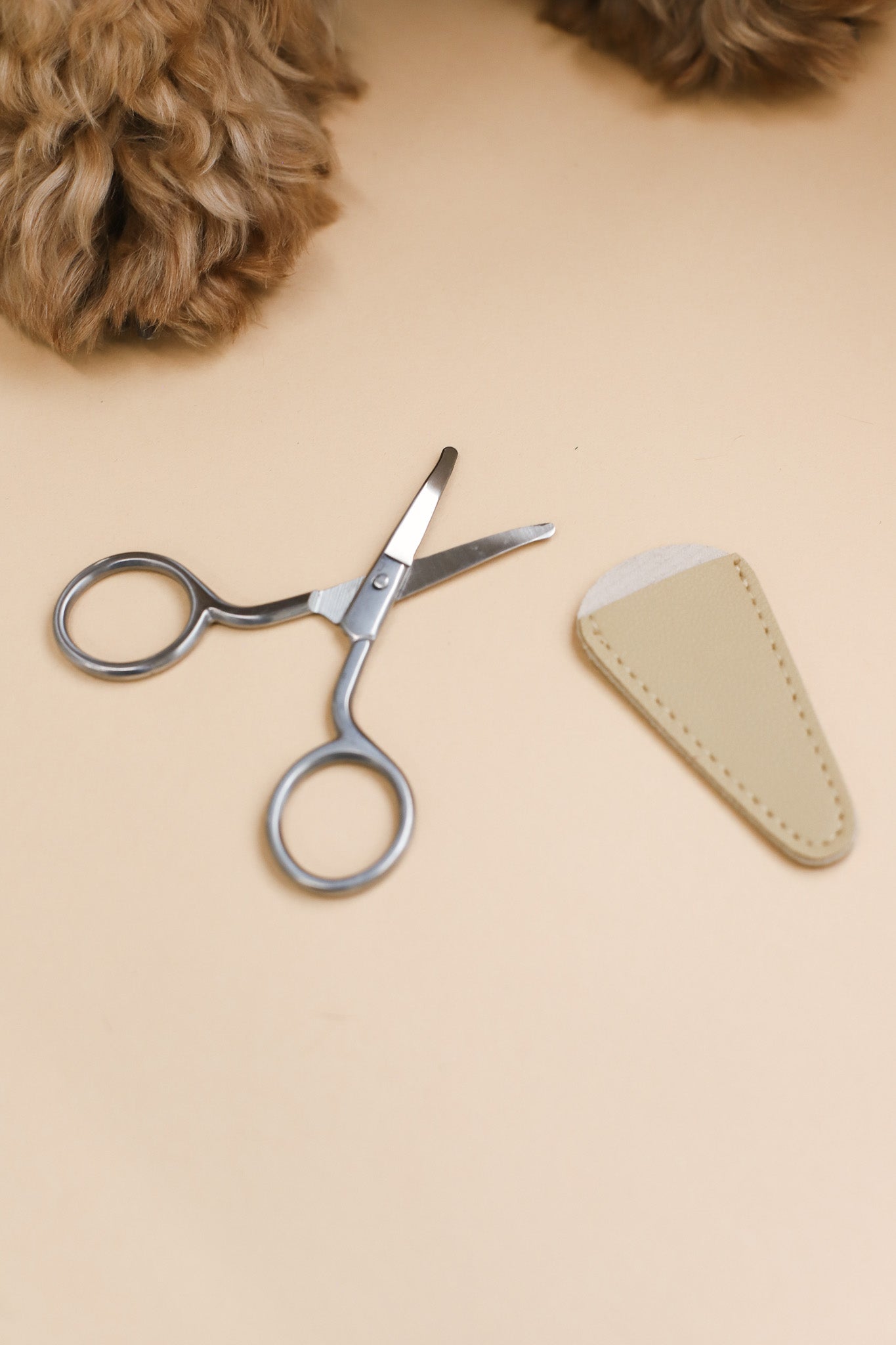 Mini Safety Scissor