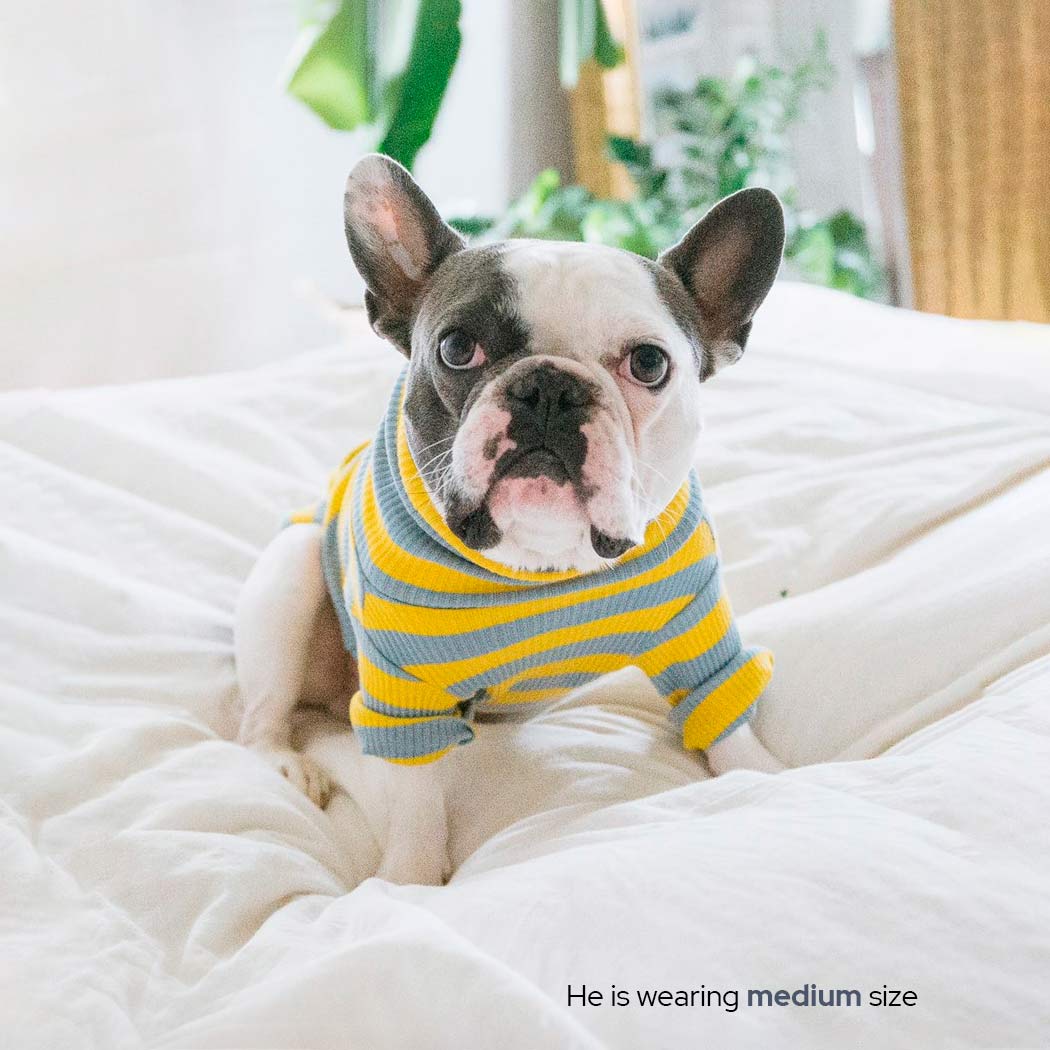 Cute & Cuddly Fun: The Greyt Day Set! 🐾✨