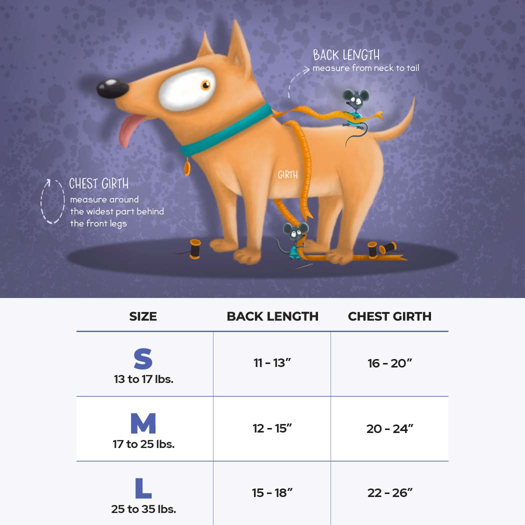 Seaside Fun Unleashed: The Ocean Delight Set for Pups