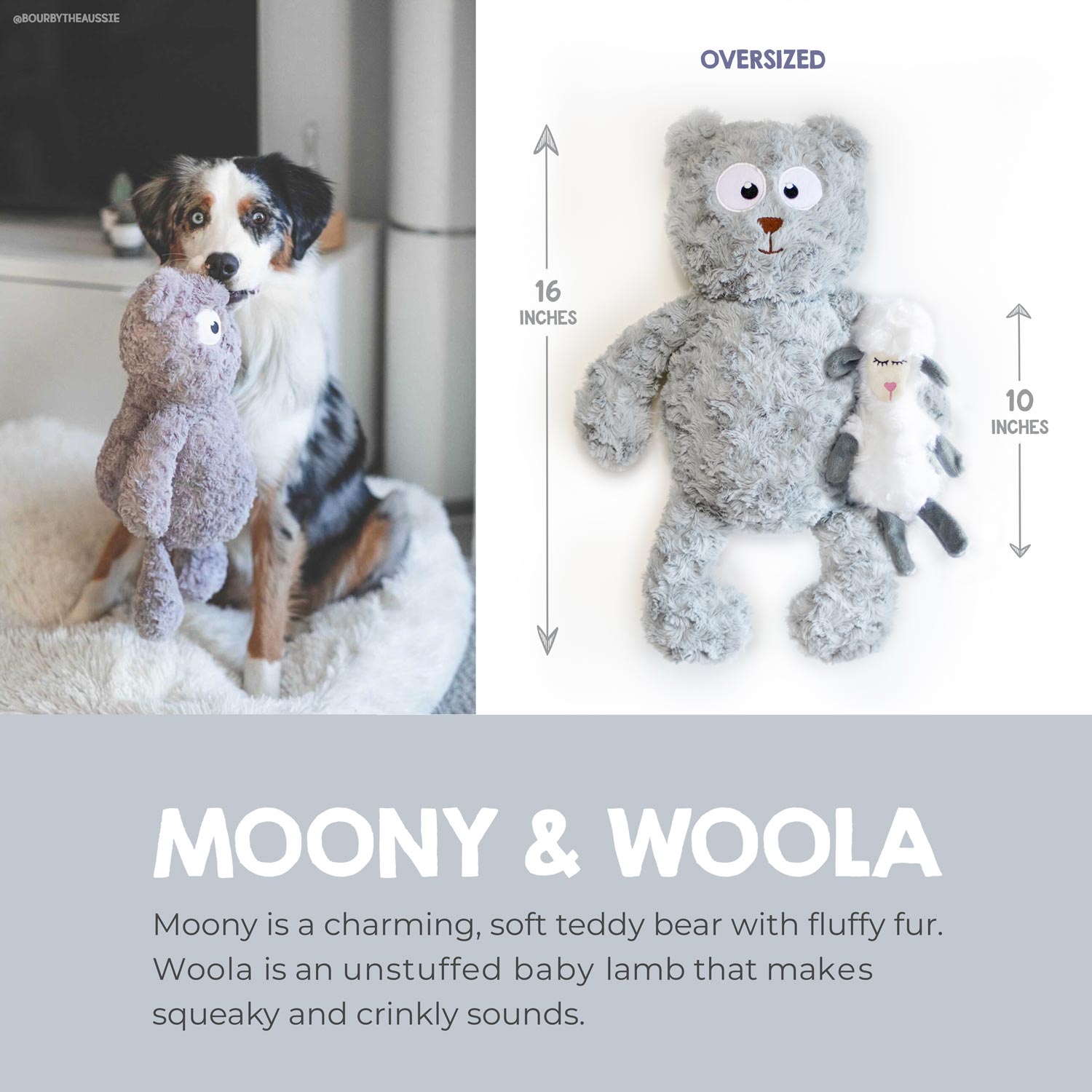 Cute & Cuddly Fun: The Greyt Day Set! 🐾✨