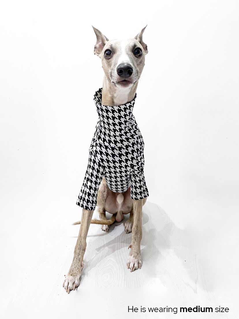 Cute Greyhound wearing Black and White Doggy Sweatshirt#color_chic dogstooth