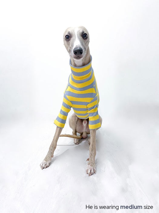 #color_rubber ducky yellow