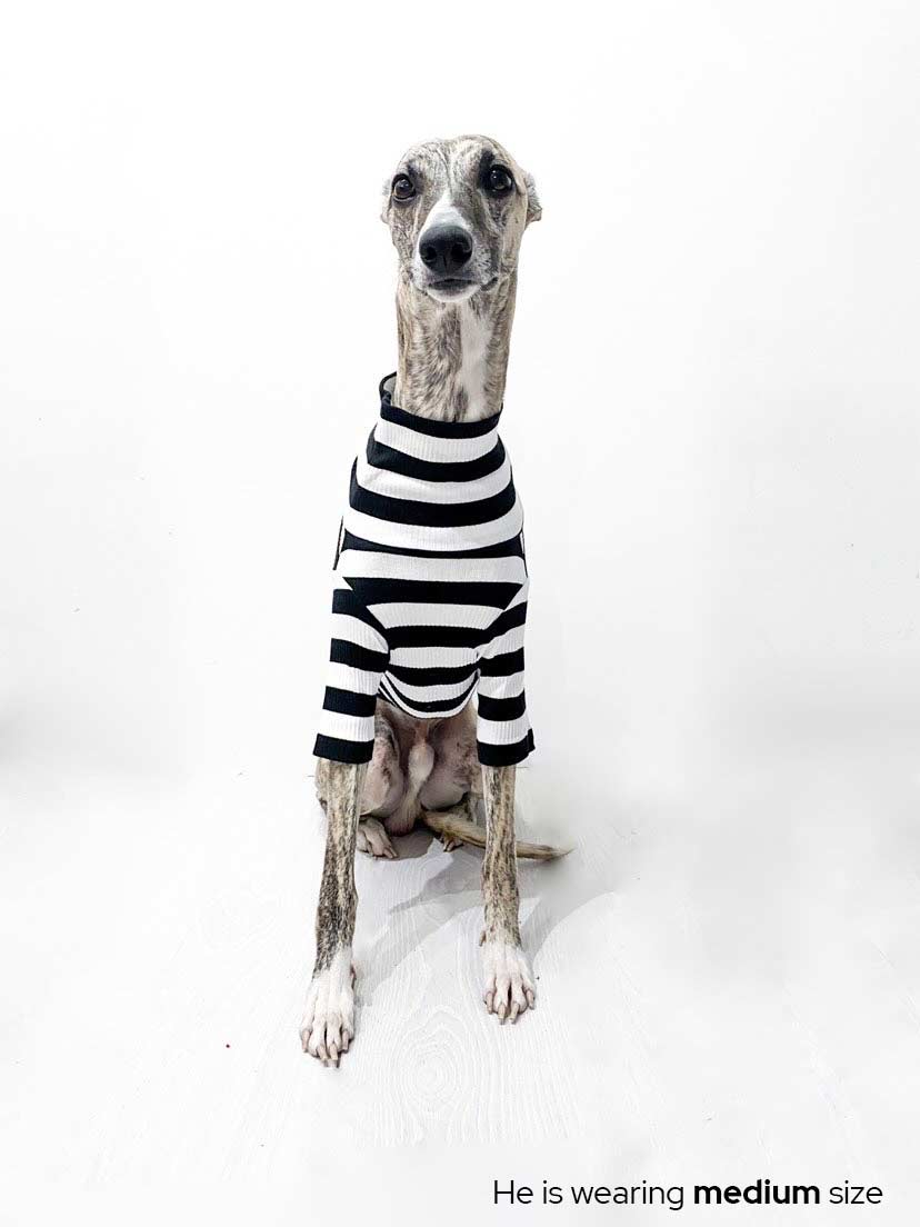 #color_night out black