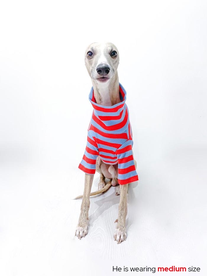 #color_happy berry red