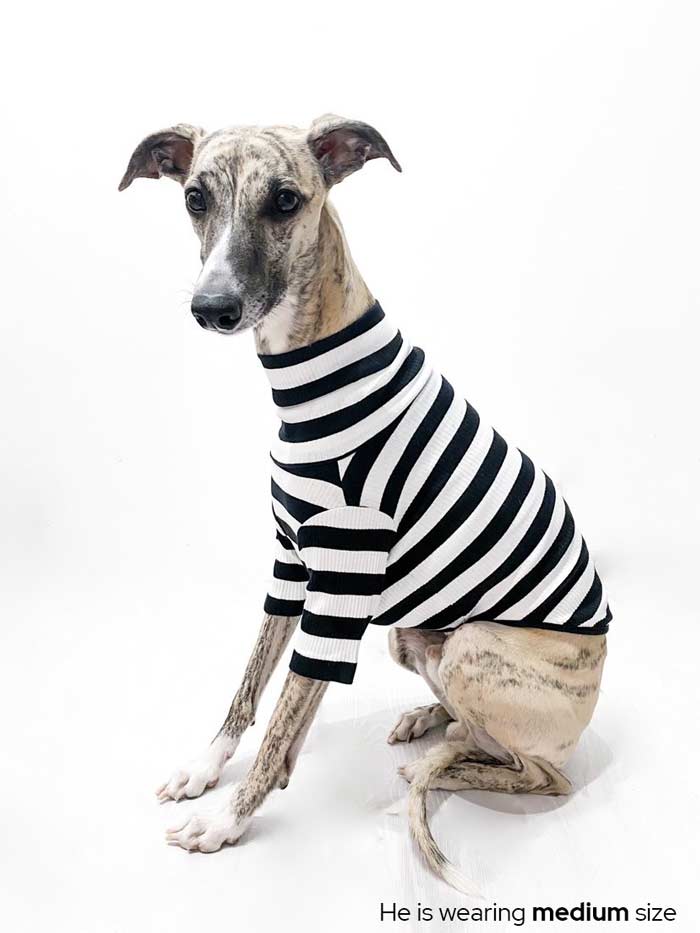 #color_night out black