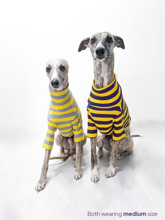 #color_royal indigo purple