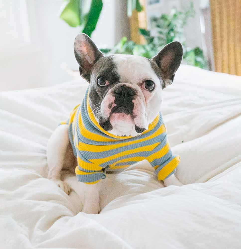 #color_rubber ducky yellow