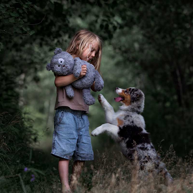Kid and a his Aussie Puppy playing with The Moony & Woola Plush Dog Toy