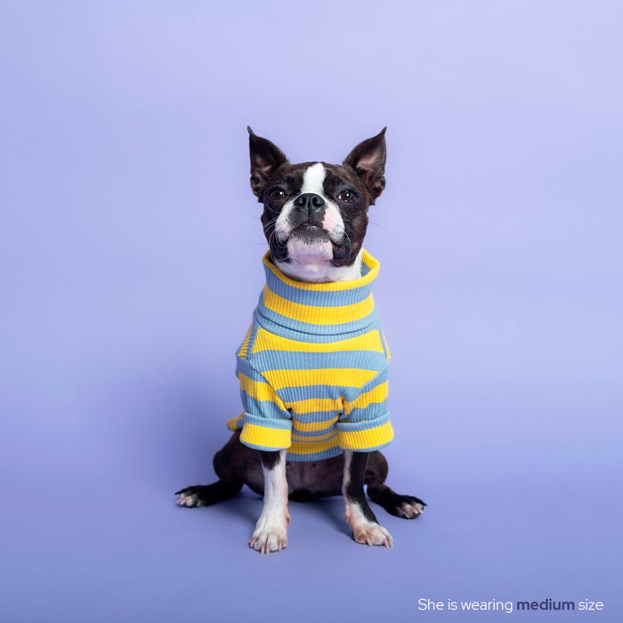 #color_rubber ducky yellow