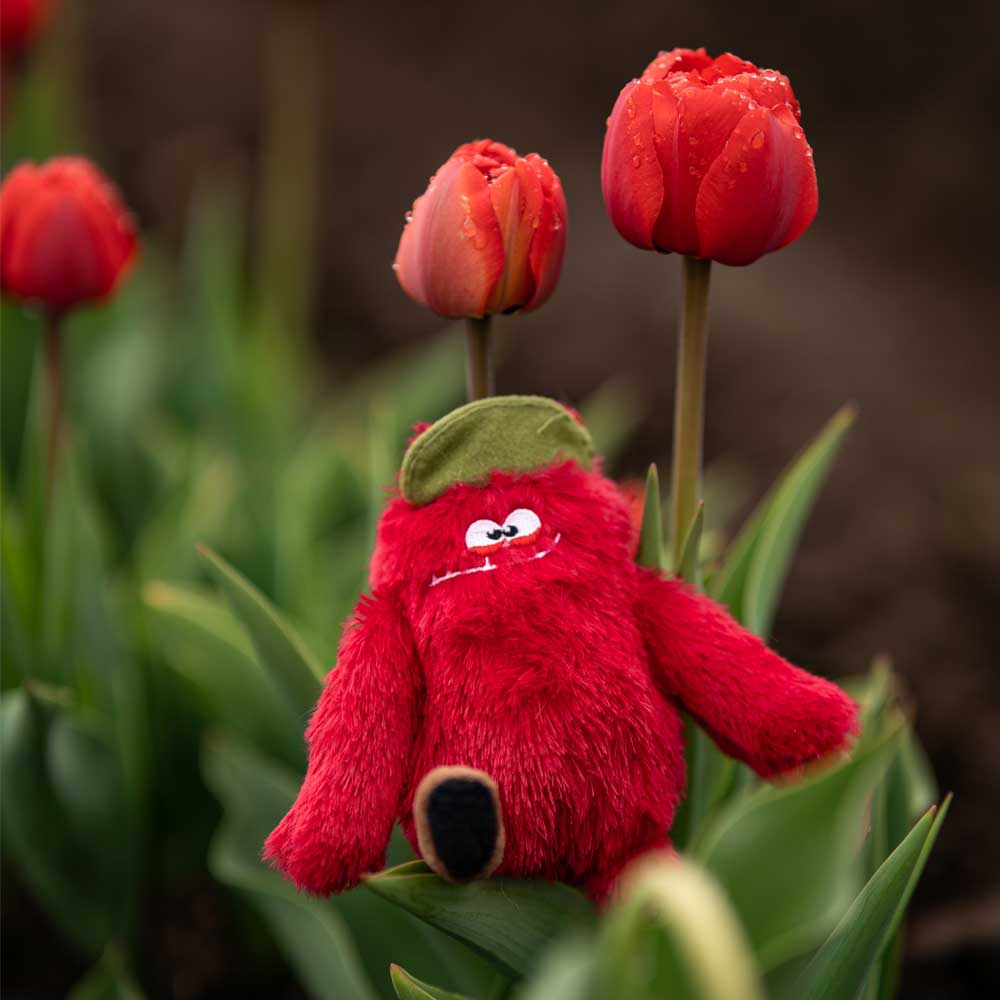 Red and fuzzy monster plush toy for dogs