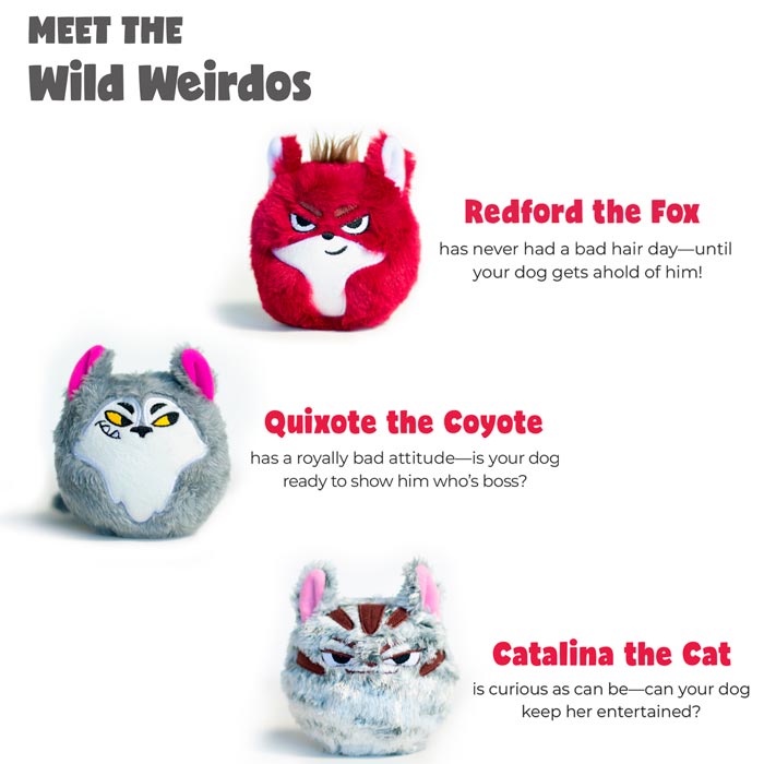 The 3 Wild Weirdos are Redford the Fox, Quixote the Coyote, and Catalina the Cat