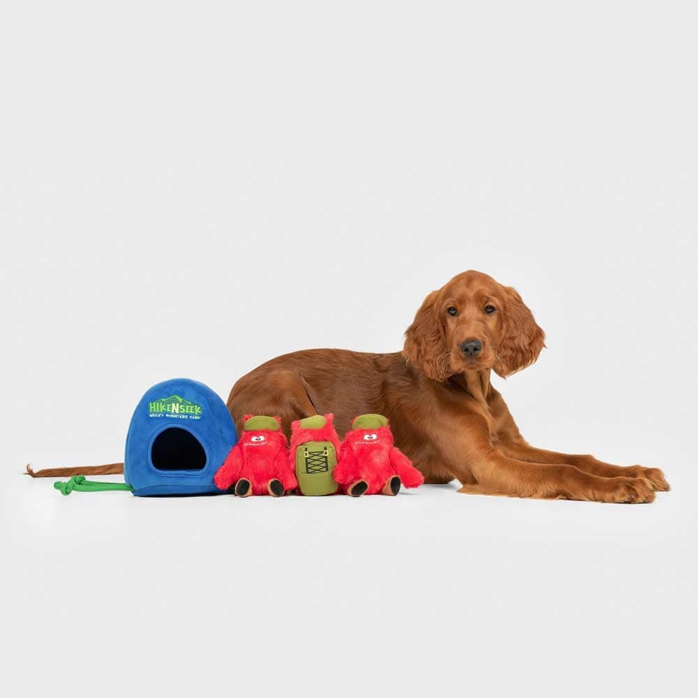 A large dog is posing next to its hide-and-seek plush toy