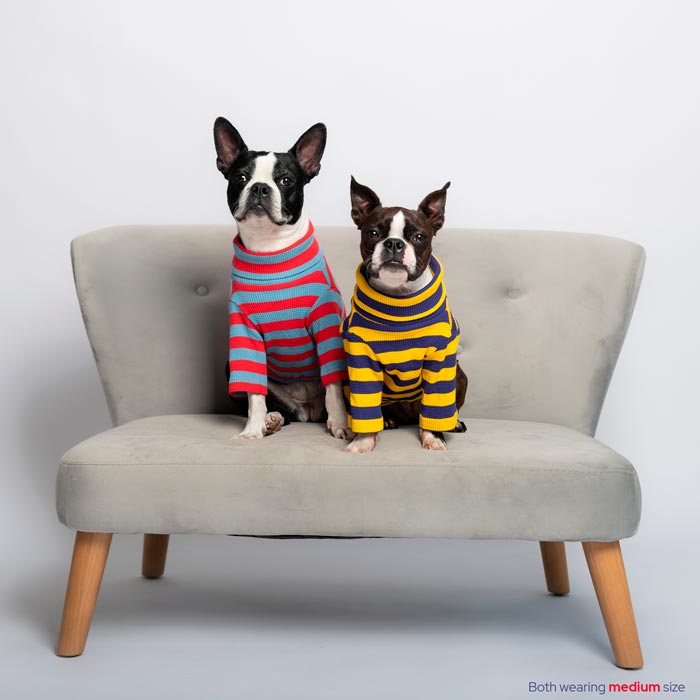 #color_royal indigo purple