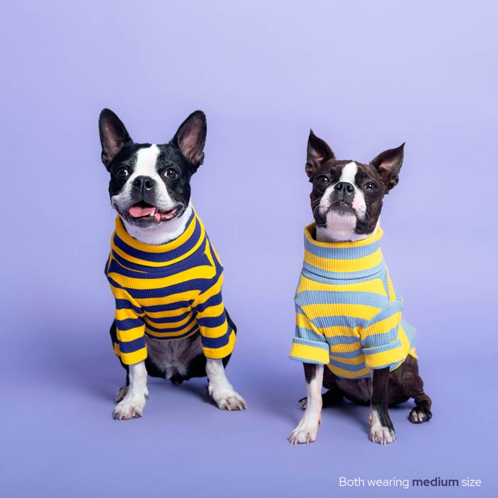 #color_rubber ducky yellow