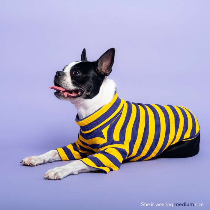 #color_royal indigo purple