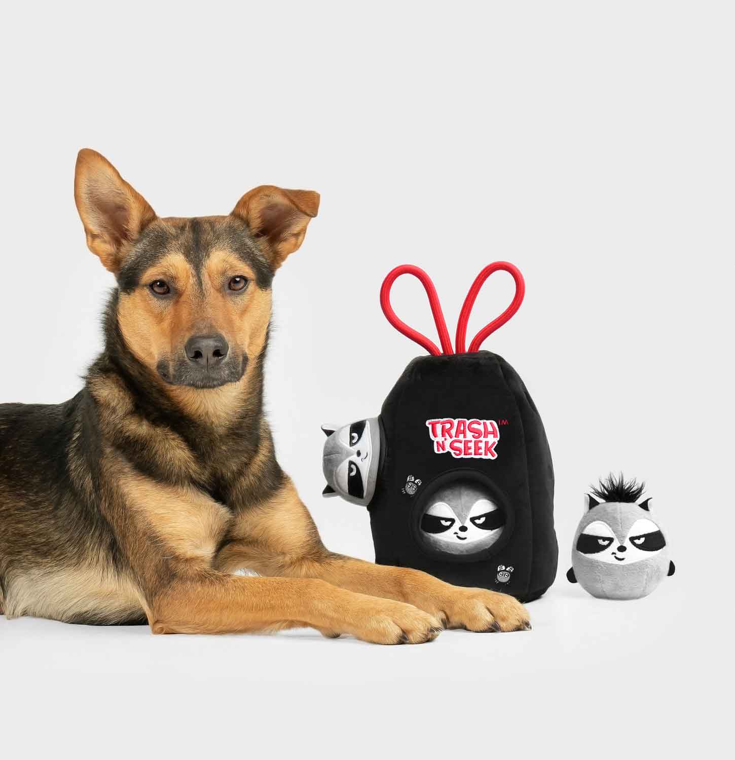 Cute Dog sitting next to the Trash N' Seek Toy