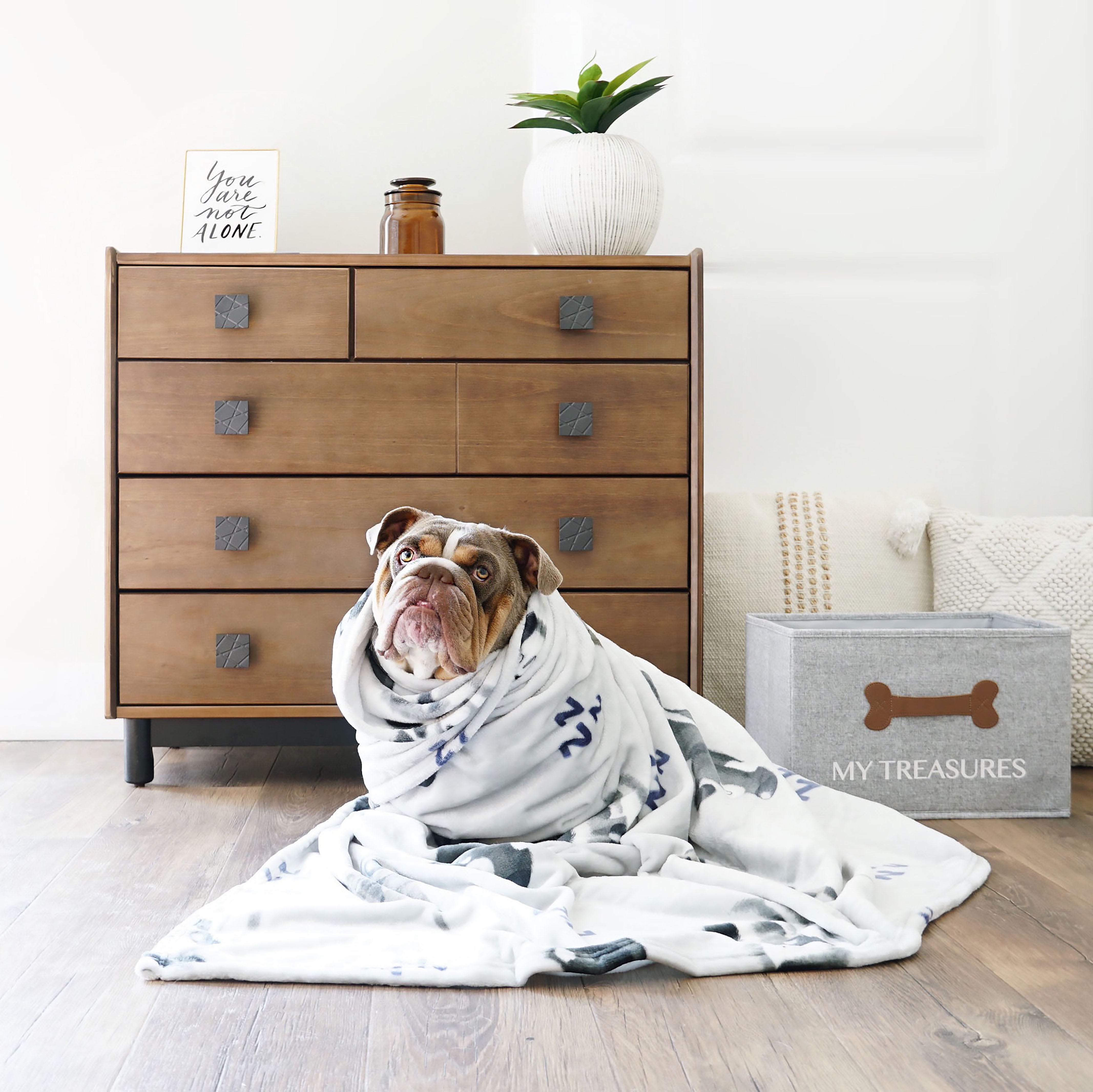 Pupwear