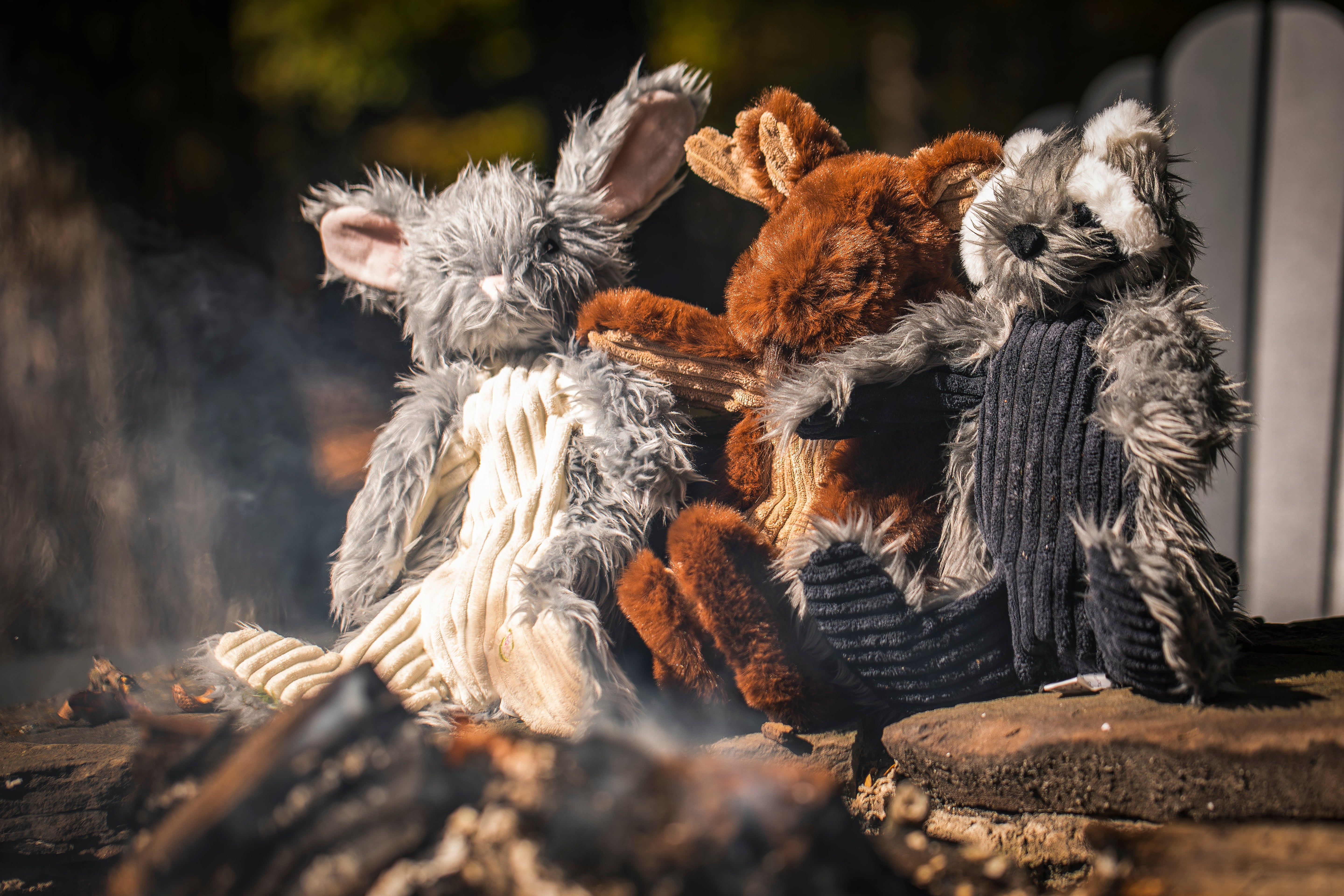 Maple Moose X-Brace™ Durable Plush Dog Toy