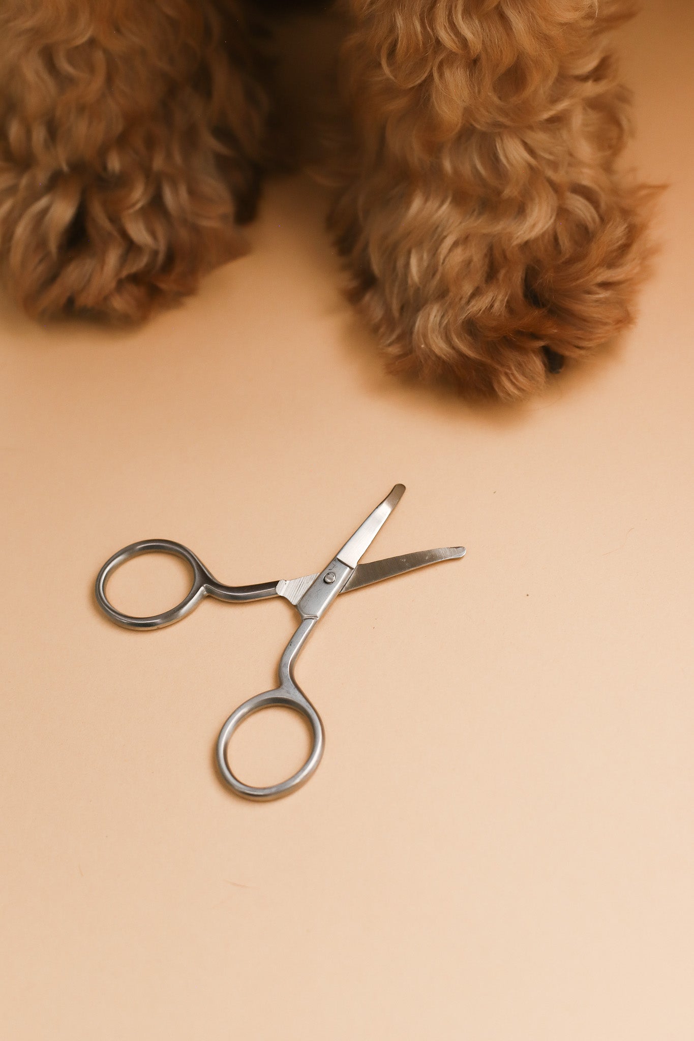 Mini Safety Scissor