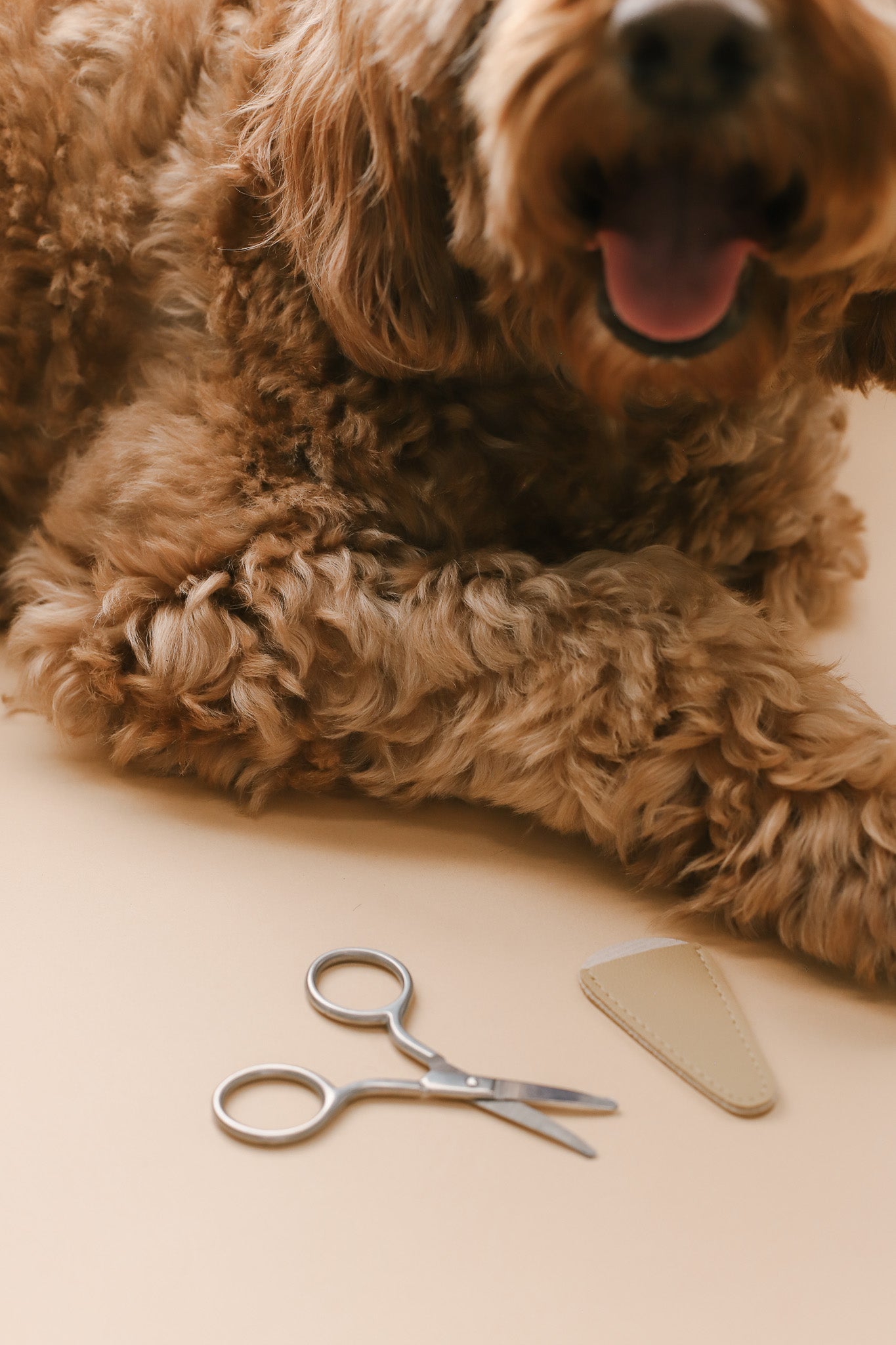 Mini Safety Scissor