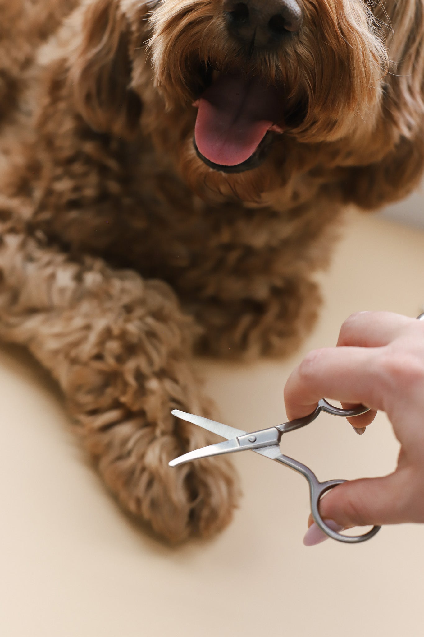Mini Safety Scissor