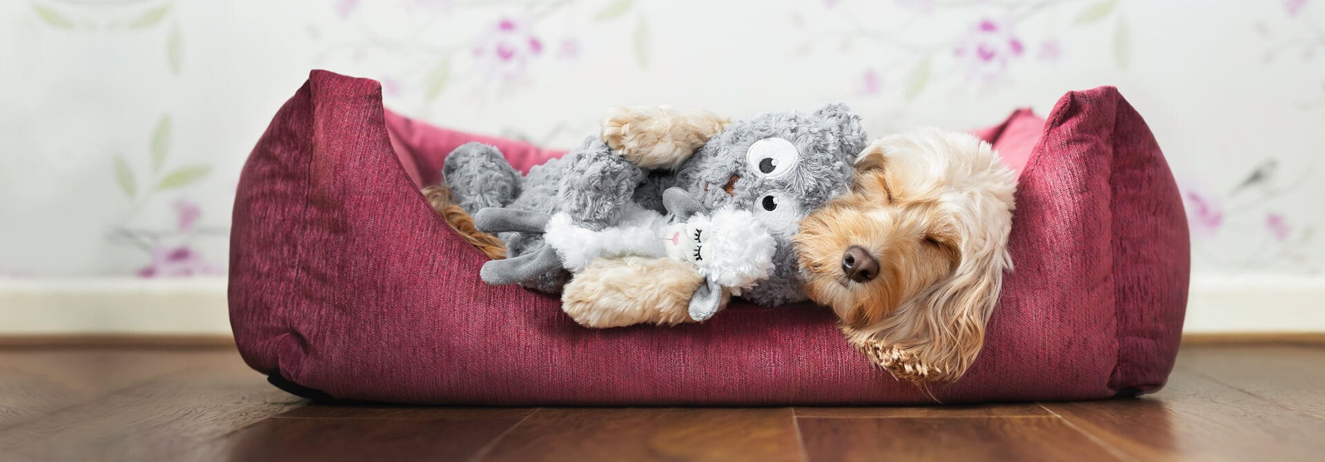 Dog snuggling with a teddy bear plush dog toy