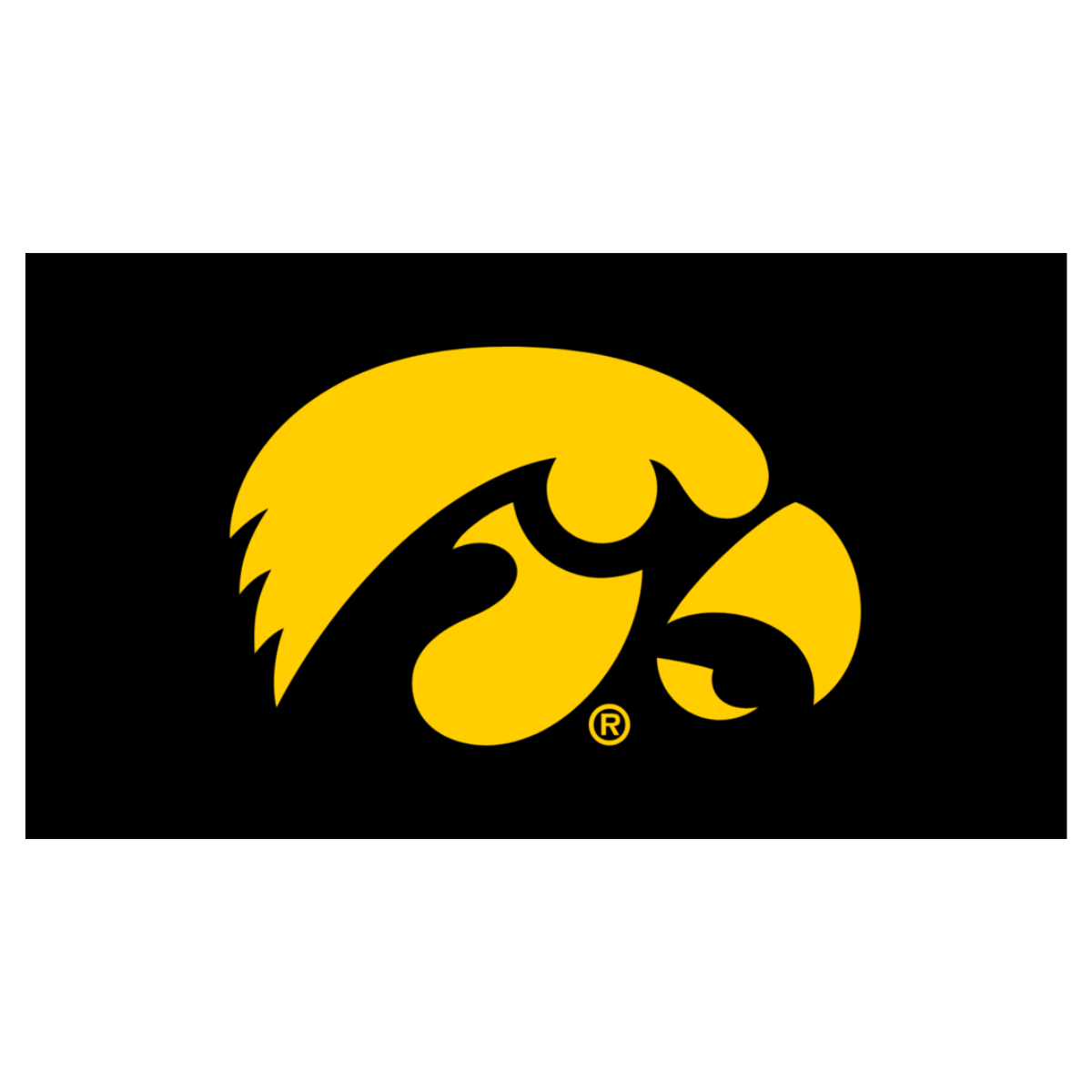 NCAA University of Iowa - Herky the Hawk Knottie® Plush Dog Toy