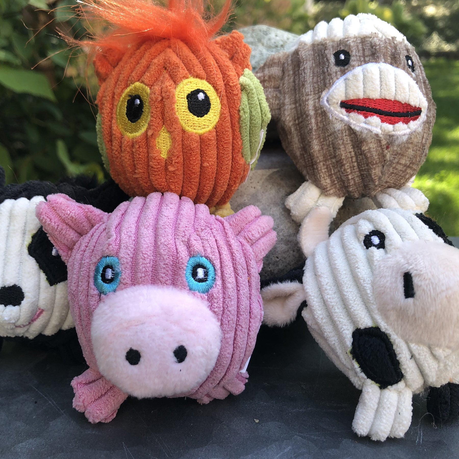 Wee Huggles® Assorted Balls Dog Toys, 5 Pack