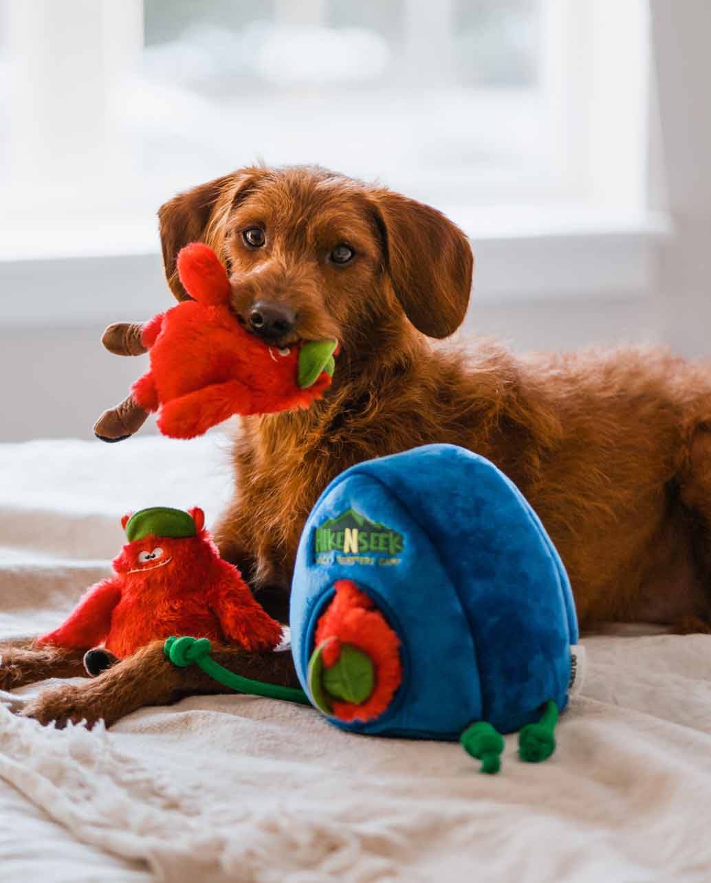 BULLTUG  Unique Dog Toys for Different Play-Styles
