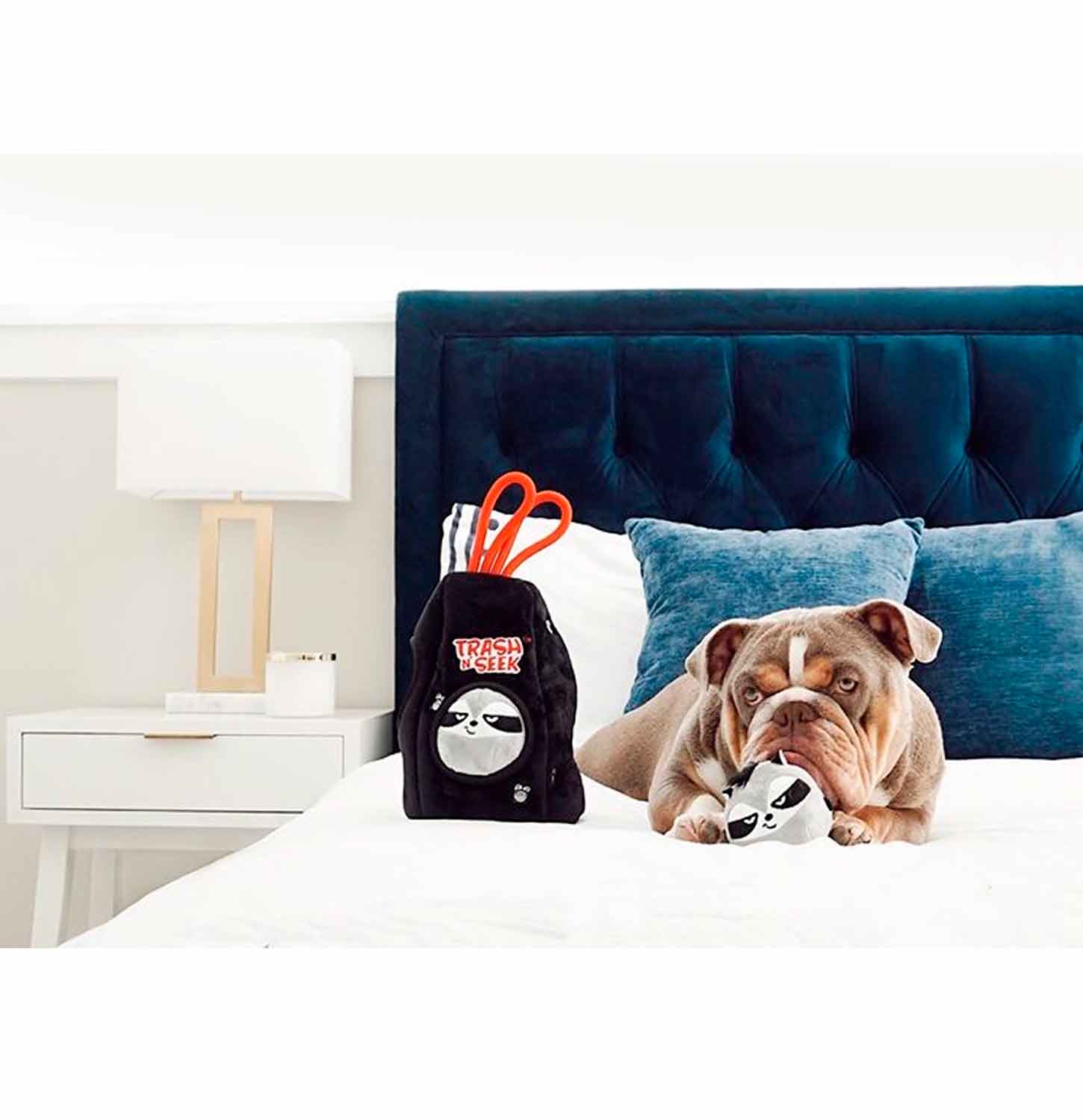 Brown Bulldog playing with Trash N' Seek Toy on a bed