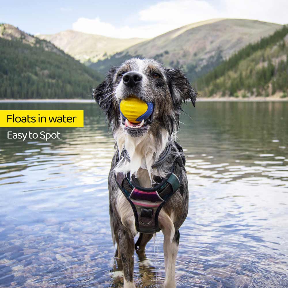 The Fetch Ball Floats in Water, Making it easy to See