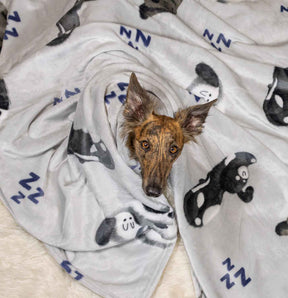 Dog Wrapped in Blanket while laying on doggy bed