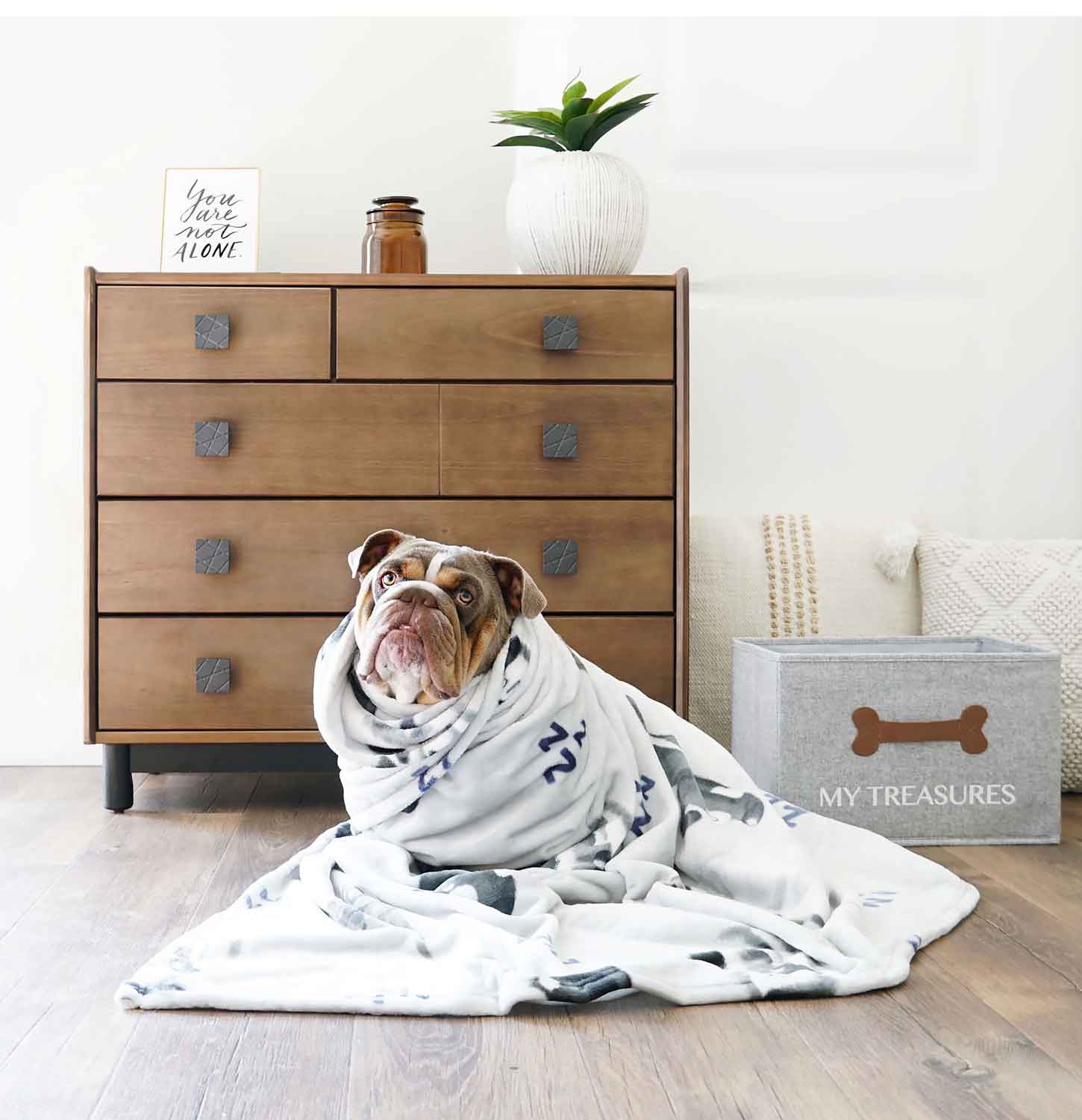 Cute Bulldog Cuddled up in Soft Blanket