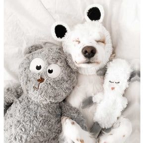 Cute Puppy Snuggling with Moony & Woola Dog Toy