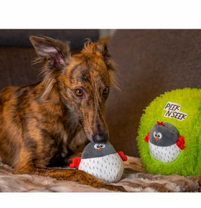 Cute Brown Dog playing with Peek N' Seek Dog Toy