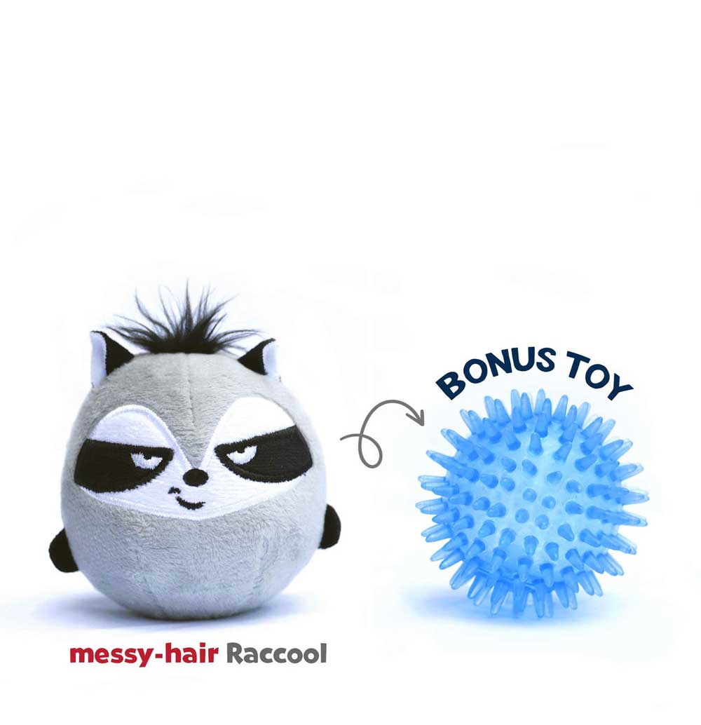 The Funny Raccoon with Messy-hair has a bonus squeaky toy inside