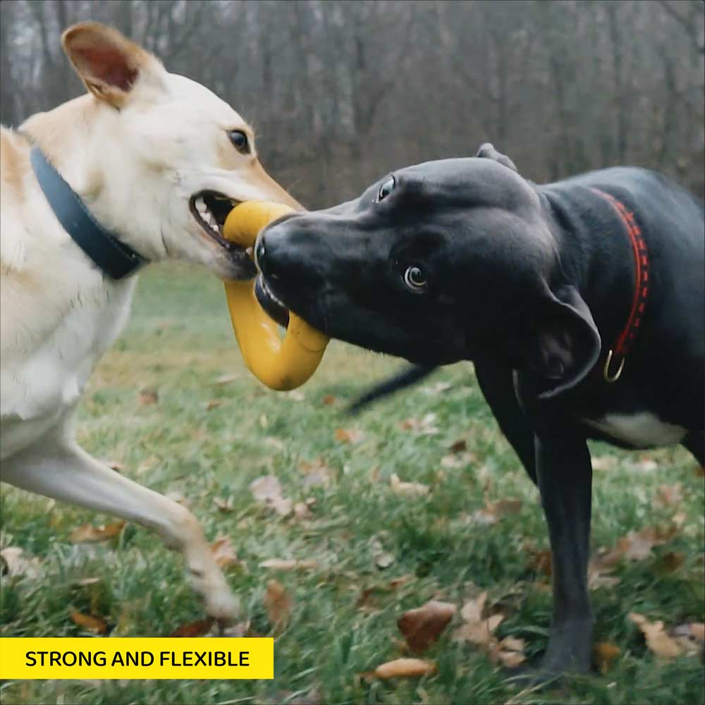 The Power Duo Ring is Strong and Flexible, Making it Awesome For Tug-of-War